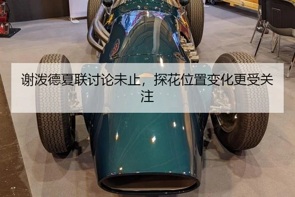 谢泼德夏联讨论未止，探花位置变化更受关注